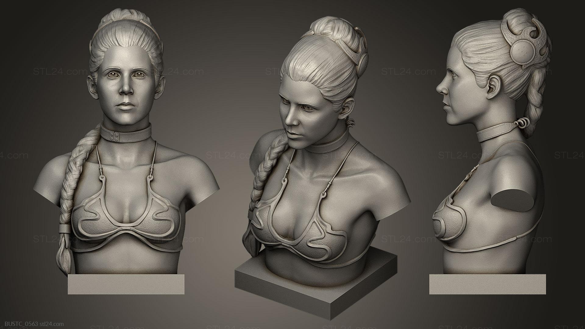 Бюсты и барельефы известных личностей (Рабыня Лея, BUSTC_0563) 3D модель для ЧПУ станка
